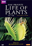KBS방영 화제작. BBC 세계 명작 다큐멘터리 시리즈 : 식물의 사생활 1부 